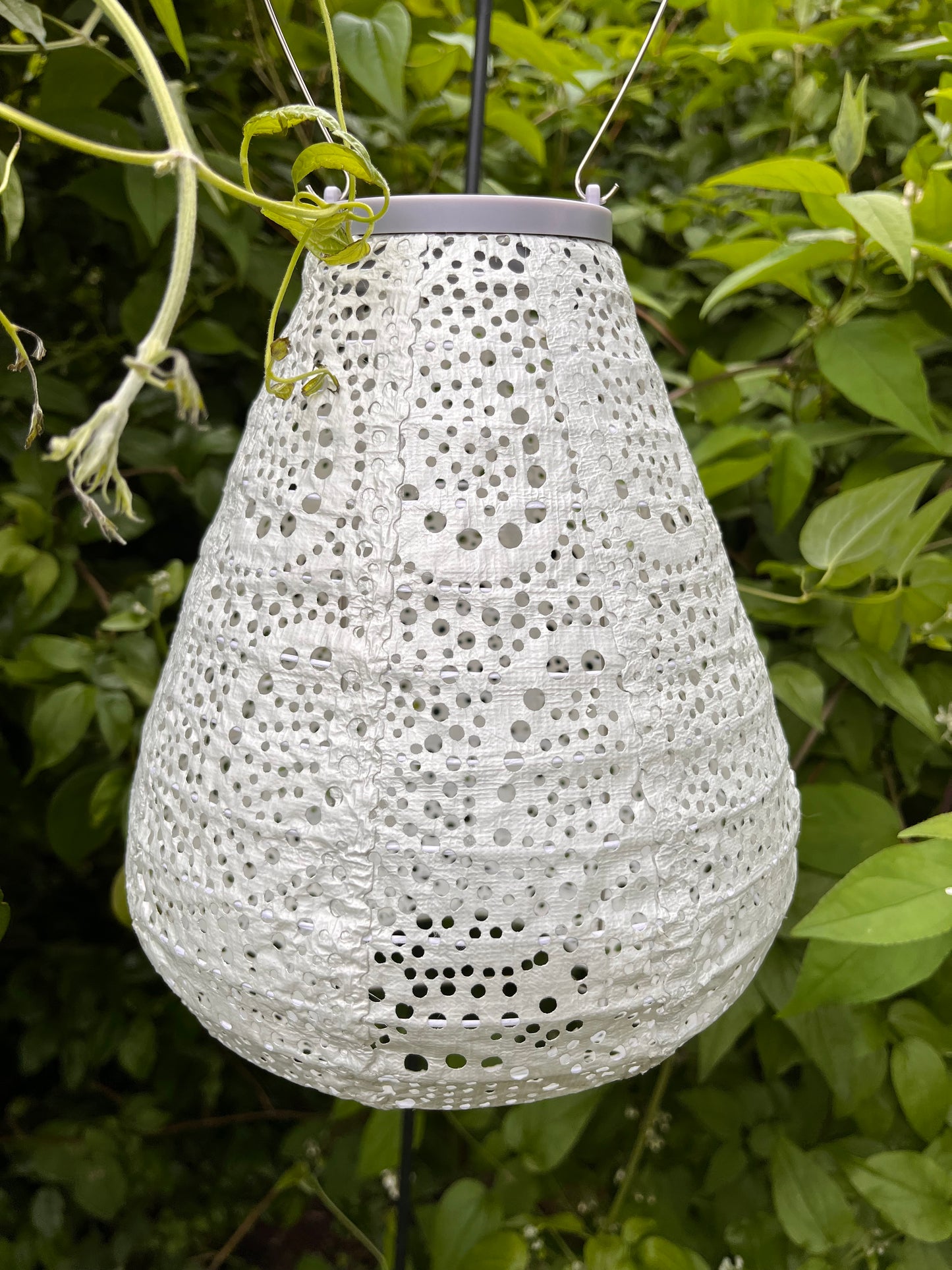 Solcelle lampe tulipan 20 cm.